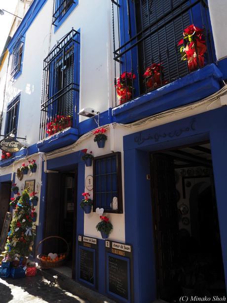 copyrightfullPC290238