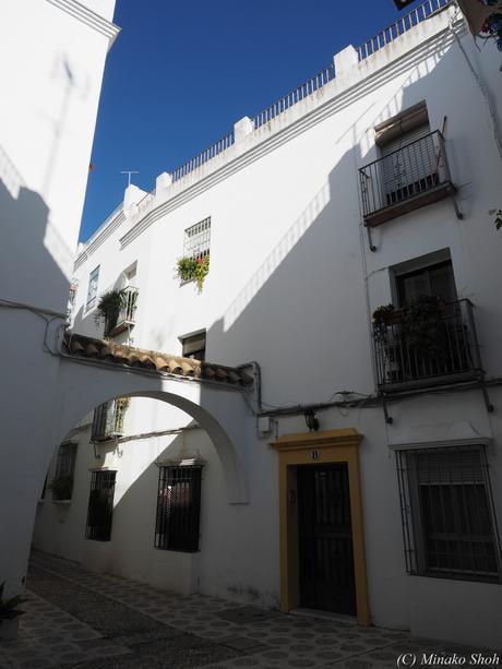 copyrightfullPC290182