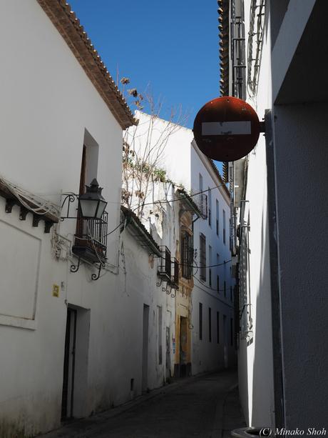 copyrightfullPC290133