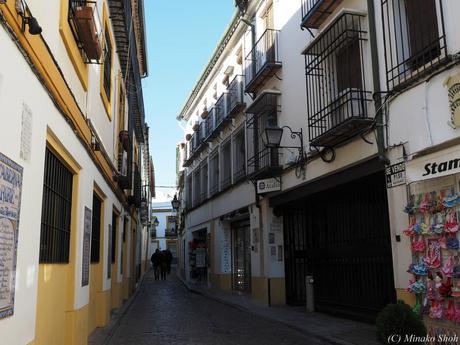 copyrightfullPC290226