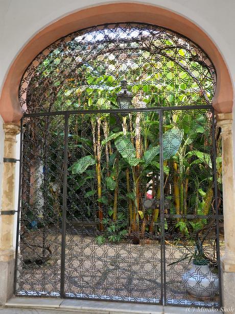 copyrightfullPC290200