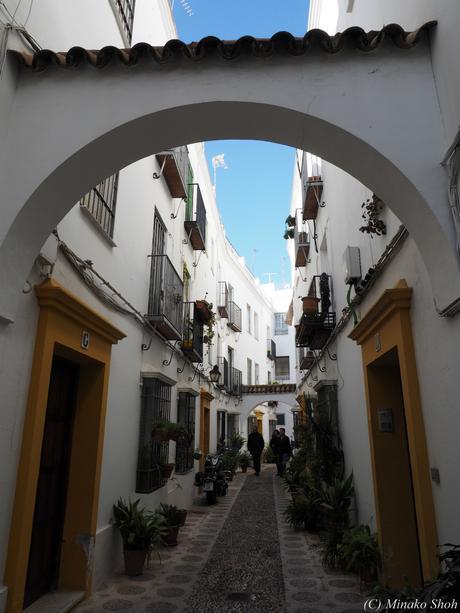 copyrightfullPC290181