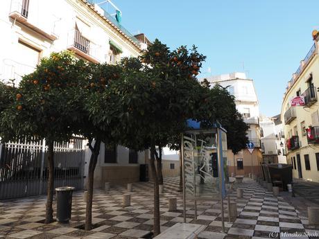 copyrightfullPC290165