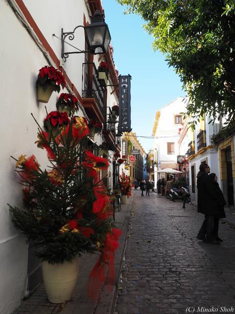 copyrightfullPC290258