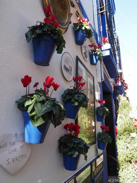 copyrightfullPC290241