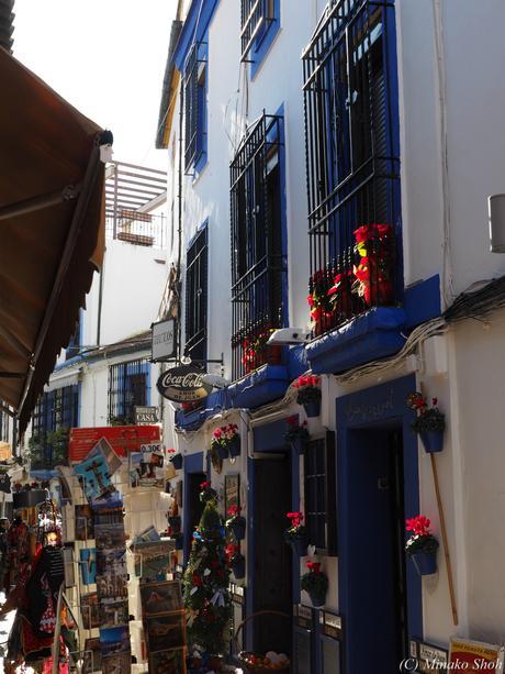 copyrightfullPC290234