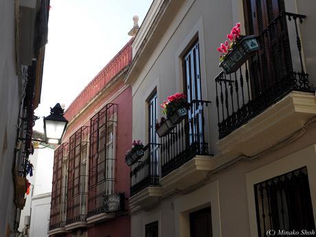 copyrightfullPC290207