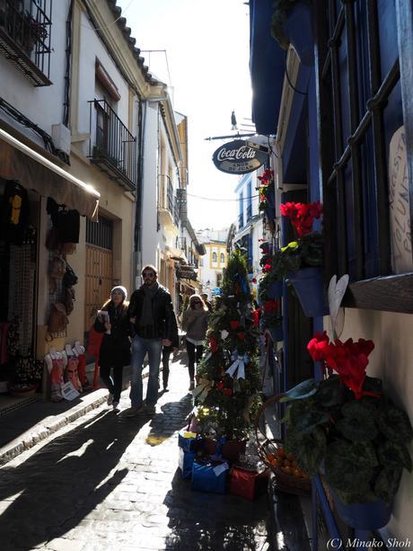 copyrightfullPC290239