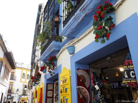 copyrightfullPC290255