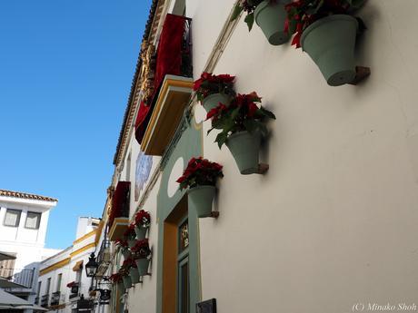 copyrightfullPC290121