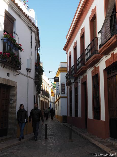 copyrightfullPC290139