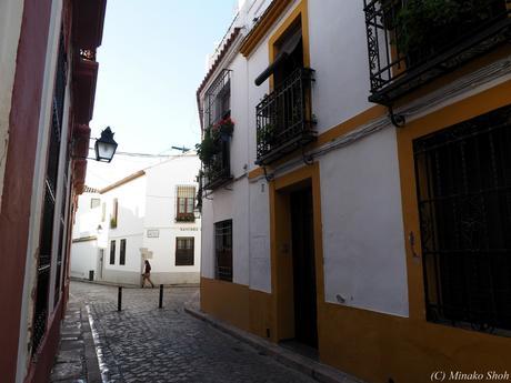 copyrightfullPC290150