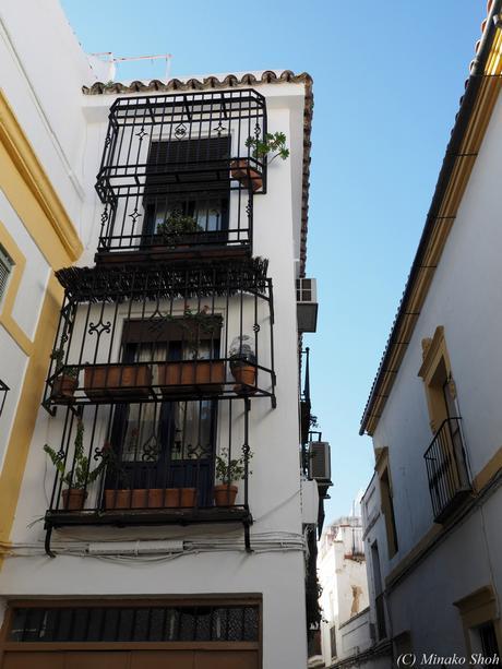 copyrightfullPC290162