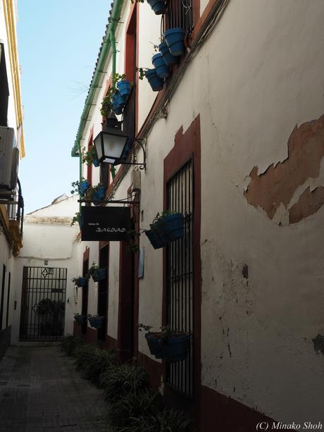 copyrightfullPC290149