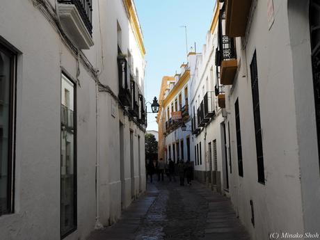 copyrightfullPC290131