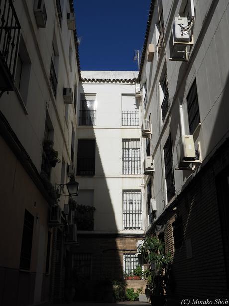 copyrightfullPC290191