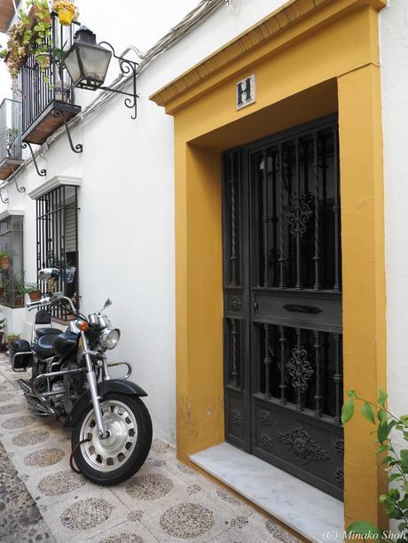 copyrightfullPC290176