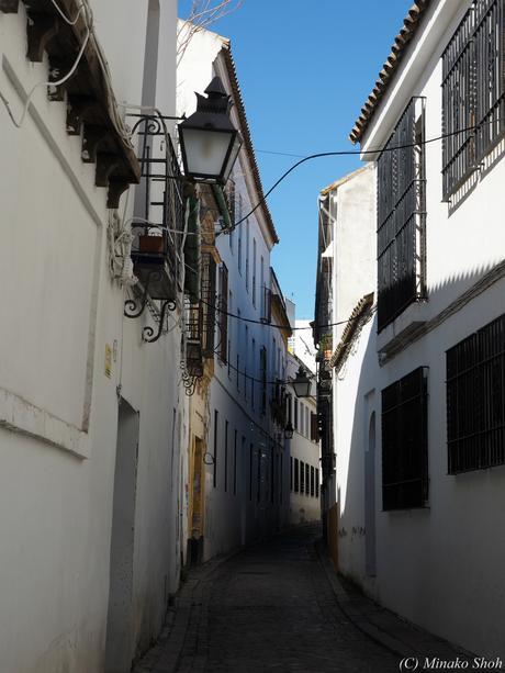 copyrightfullPC290127