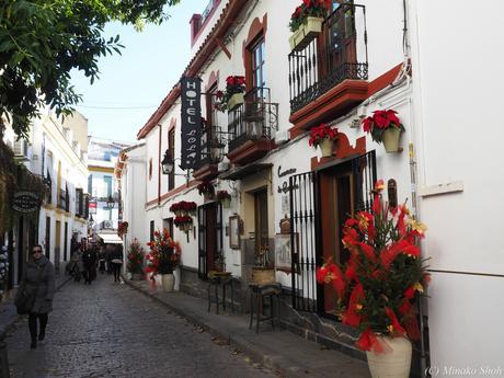 copyrightfullPC290263