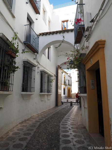 copyrightfullPC290170