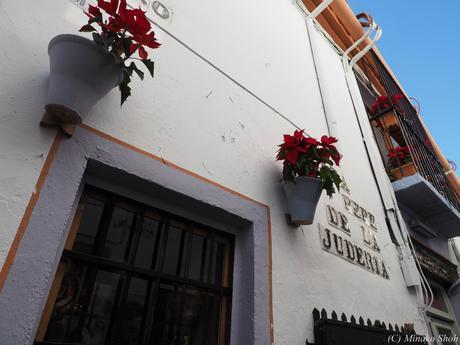 copyrightfullPC290247