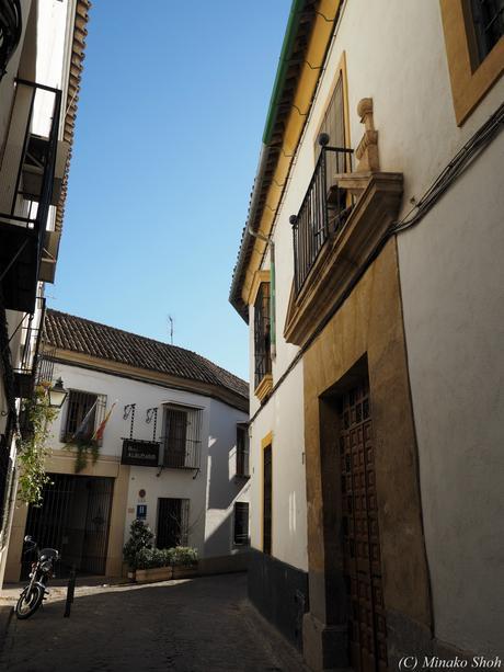 copyrightfullPC290211