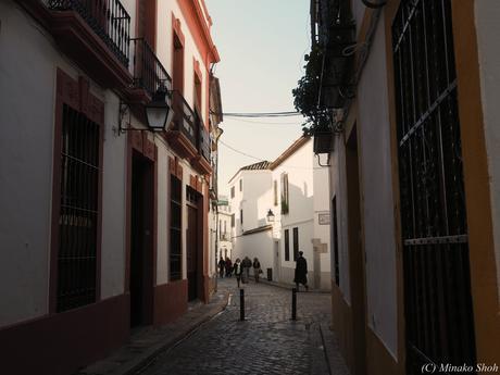 copyrightfullPC290145