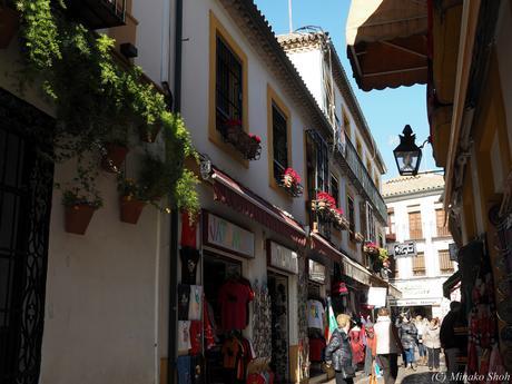 copyrightfullPC290233