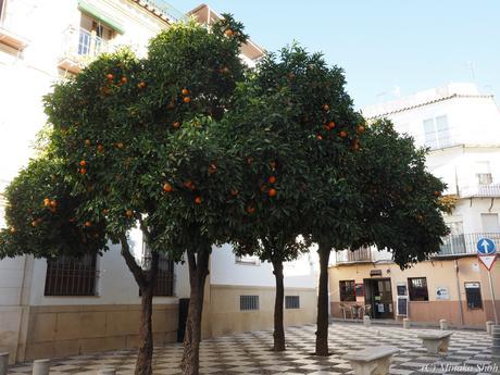 copyrightfullPC290185