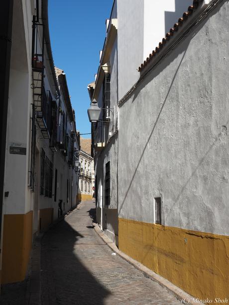 copyrightfullPC290140