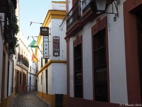 copyrightfullPC290144