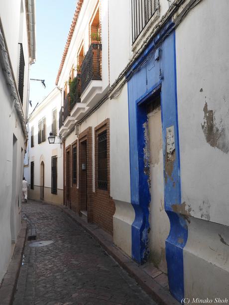 copyrightfullPC290160