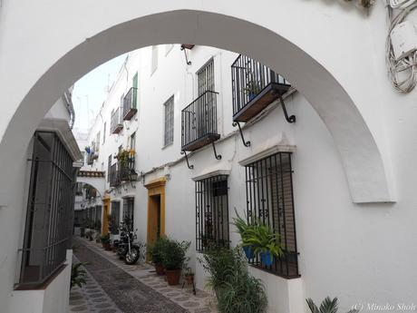 copyrightfullPC290173