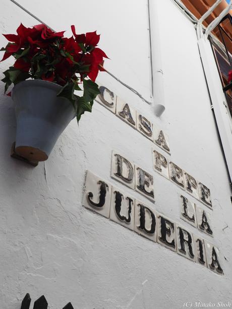 copyrightfullPC290248