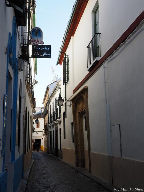 copyrightfullPC290217