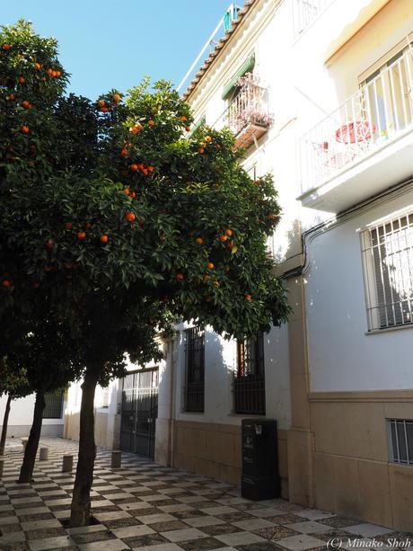 copyrightfullPC290187