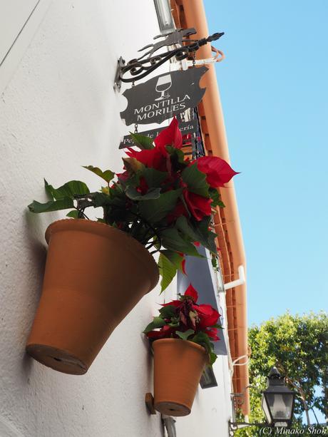 copyrightfullPC290249