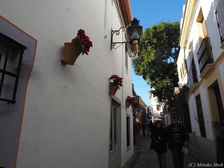 copyrightfullPC290251