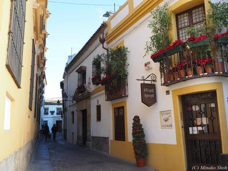 copyrightfullPC290262