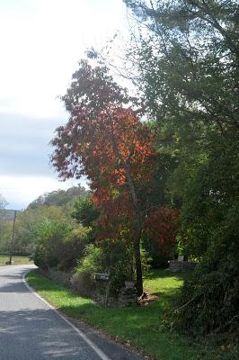 Sunday, Sunday . . . Skies and Sourwood