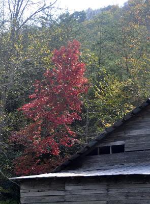 Sunday, Sunday . . . Skies and Sourwood