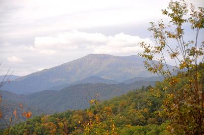 Sunday, Sunday . . . Skies and Sourwood