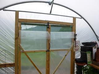 Polytunnel Progress - October