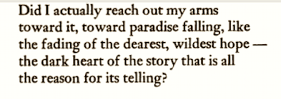 More Story: 1993 Letter That 