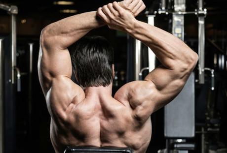 Shoulder Workouts