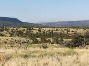 More Ranching Propaganda from