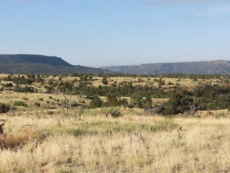 More ranching propaganda from TNC