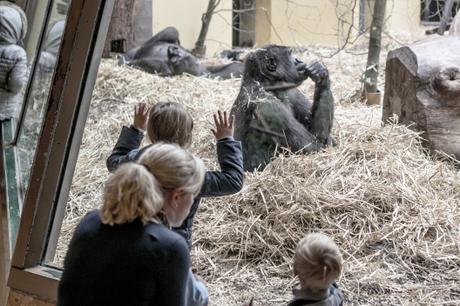 Cages of … _DSC0928