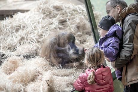 Cages of … _DSC0977