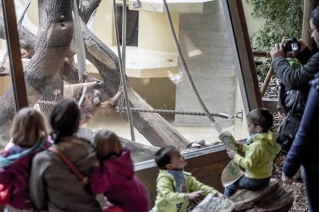 Cages of … _DSC0835